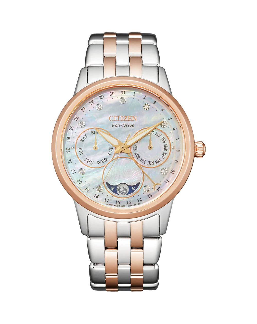 Ladies Citizen Eco Drive STST WR 50M