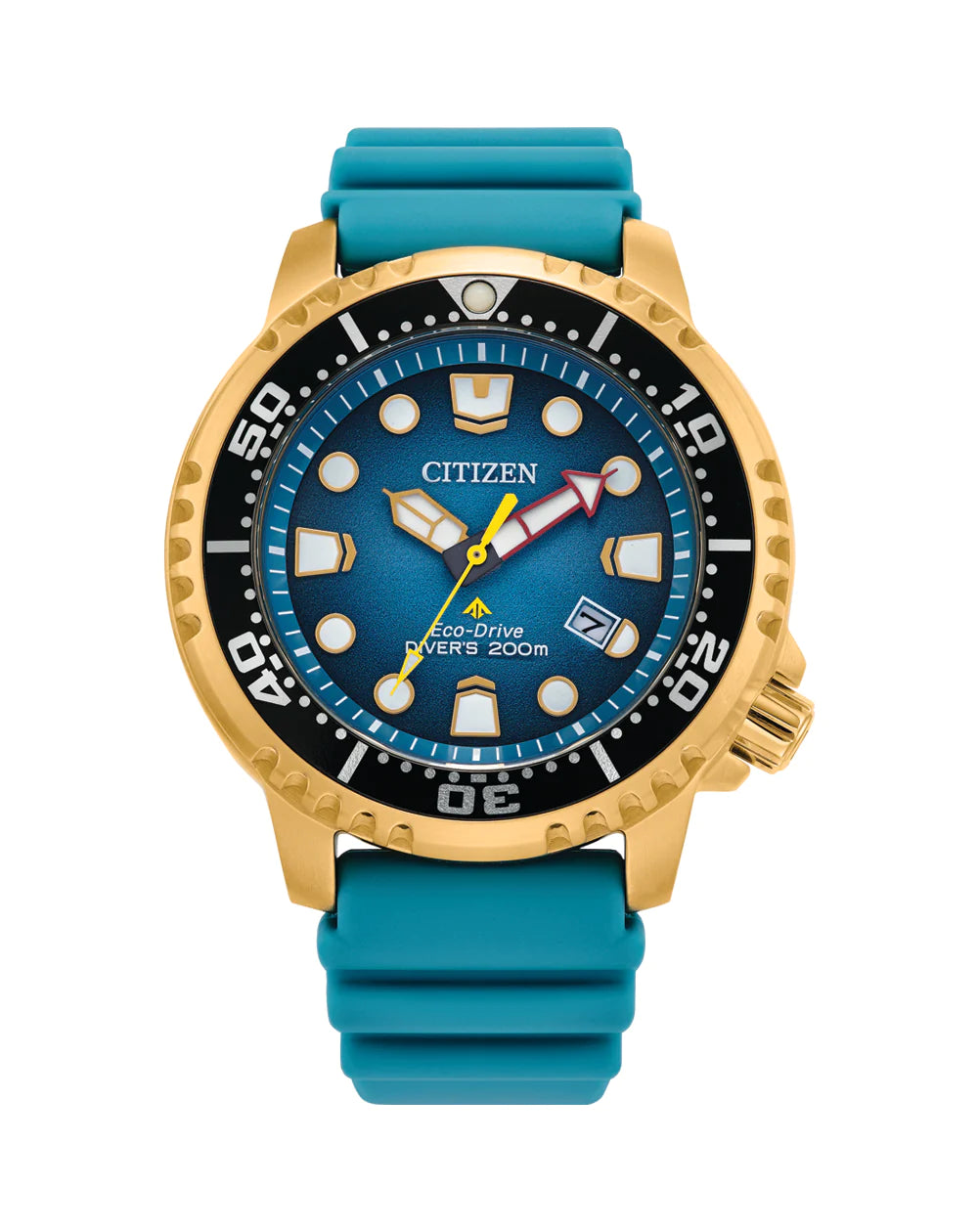 Gents Citizen Promaster Eco Drive WR 200M