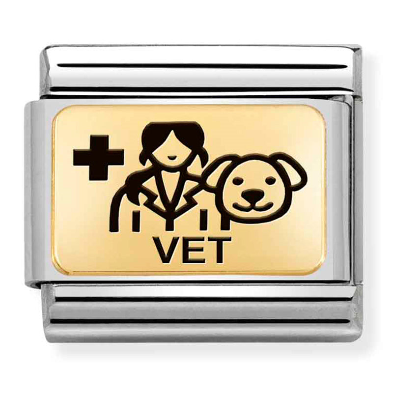 PLATES (IC) in steel and 18k gold Vet