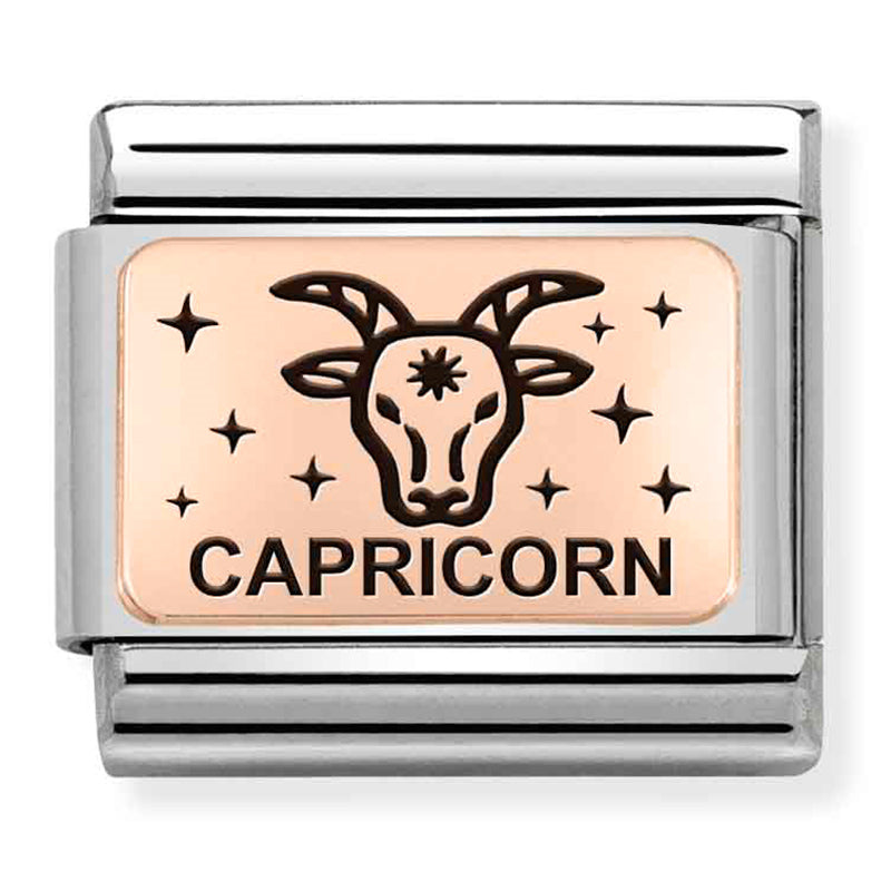 NOM-430112 10 COMP Classic ZODIAC (IC) steel and 375 gold (Capricorn)