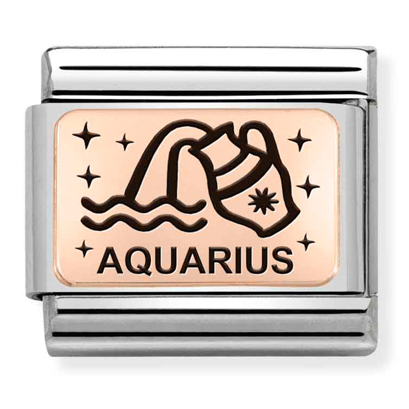 NOM-430112 11 COMP Classic ZODIAC (IC) steel and 375 gold (Aquarius)