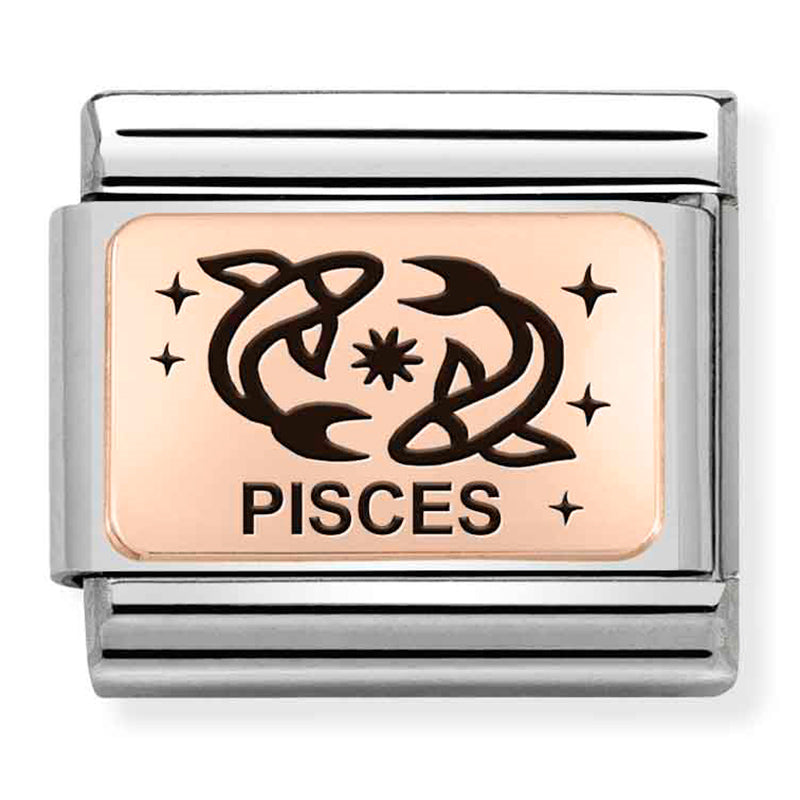 NOM-430112 12 COMP Classic ZODIAC (IC) steel and 375 gold (Pisces)