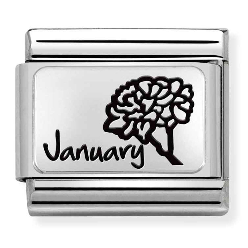 NOM-330112 13 COMP Classic MONTH FLOWER PLATES (IC) steel and 925 silver January