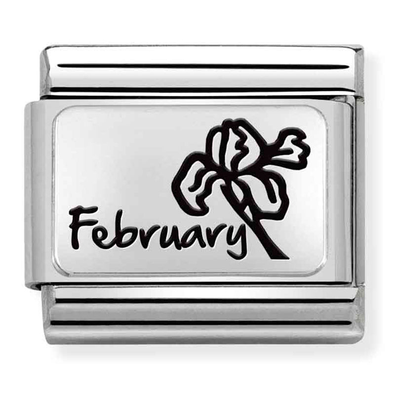 NOM-330112 14 COMP Classic MONTH FLOWER PLATES (IC) steel and 925 silver February
