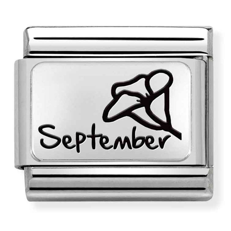 NOM-330112 21 COMP Classic MONTH FLOWER PLATES (IC) steel and 925 silver September