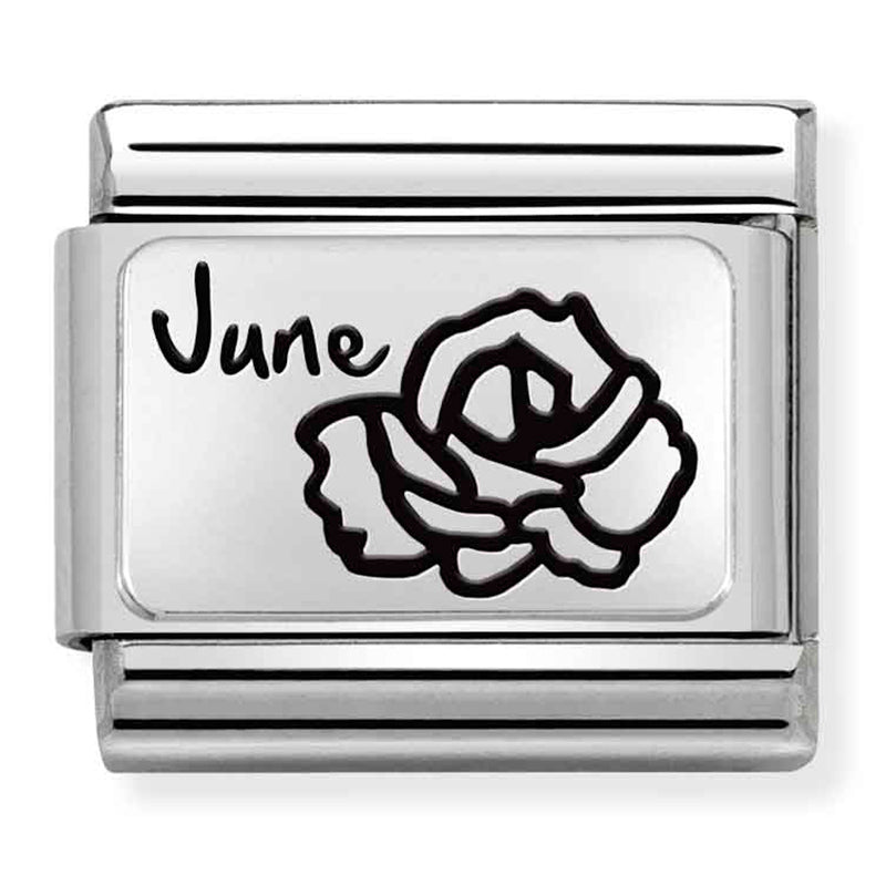 NOM-330112 18 COMP Classic MONTH FLOWER PLATES (IC) steel and 925 silver June