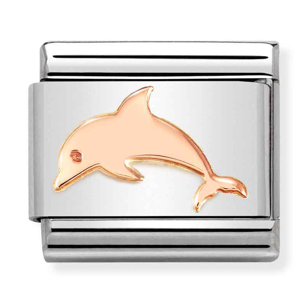 NOM-430104 53 COMP Classic SYMBOLS st/steel & 9ct rose gold (Dolphin)