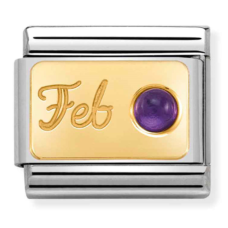 NOM-030519 02 COMP Classic MONTH STONE in steel, stones and 750 gold (February AMETHYST)