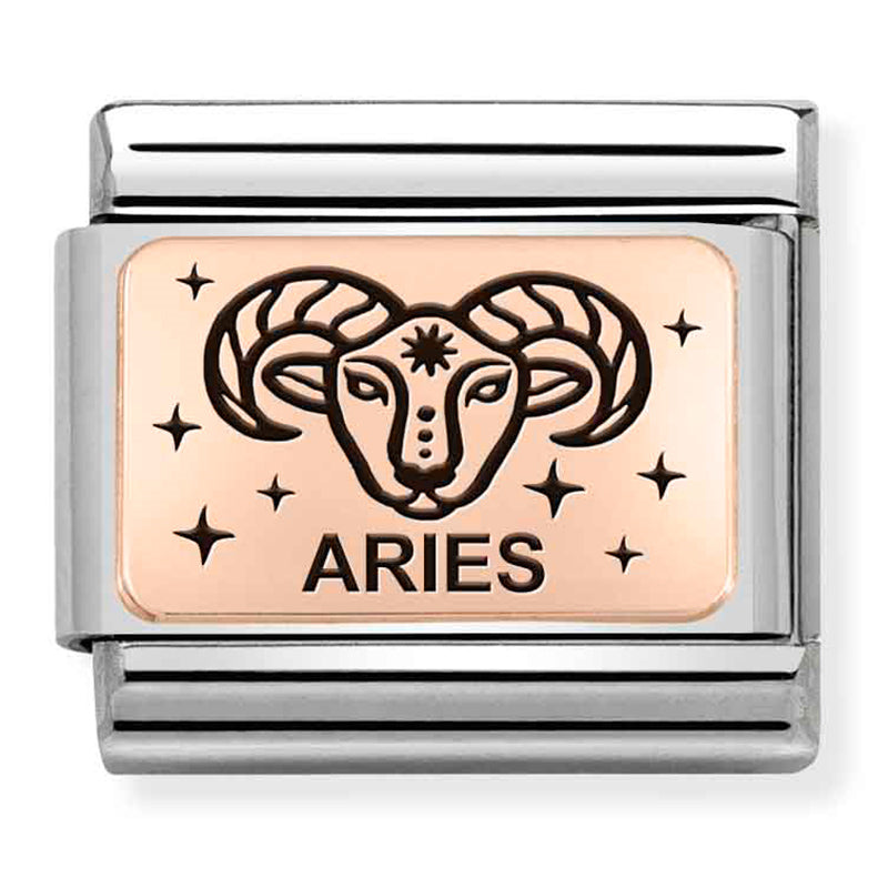 NOM-430112 01 COMP Classic ZODIAC (IC) steel and 375 gold (Aries) (43011201)
