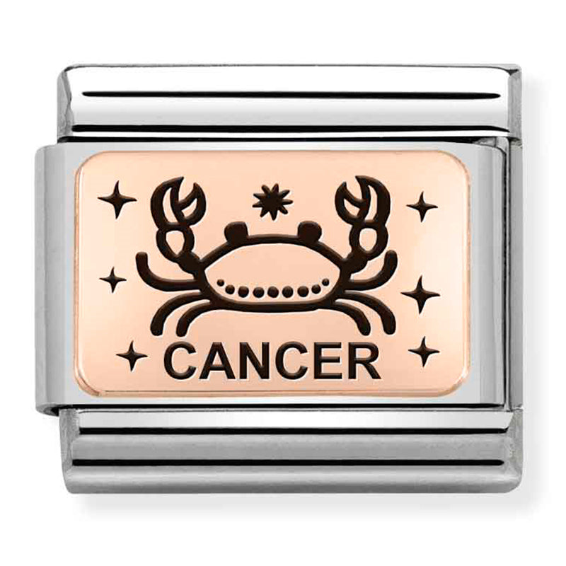 NOM-430112 04 COMP Classic ZODIAC (IC) steel and 375 gold (Cancer) (43011204)