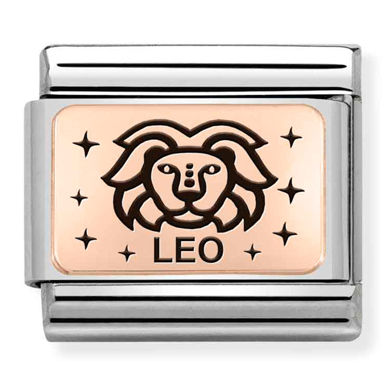 NOM-430112 05 COMP Classic ZODIAC (IC) steel and 375 gold (Leo) (43011205)