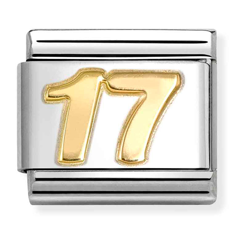 NOM- 030109 45 COMP Classic DAILY LIFE in stainless steel with 18k gold (17)