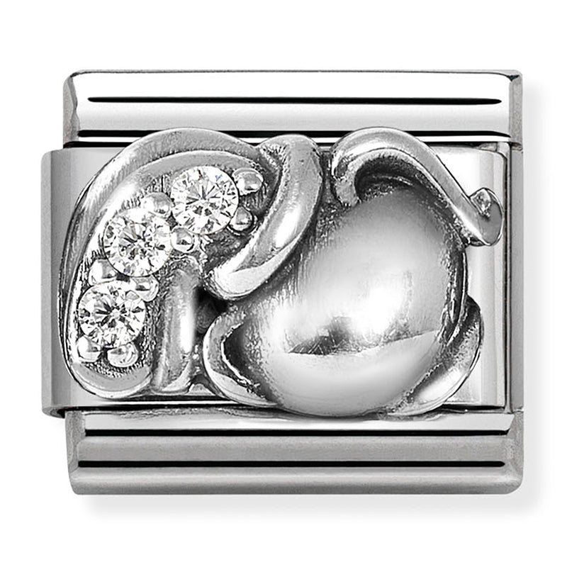 ZODIAC RELIEF st/steel, cz and 925 silver Aquarius