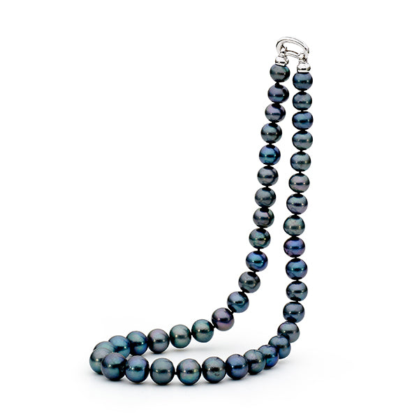 Dyed Black 10-12Mm Edison Freshwater Pearl Necklace with Sterling Silver Clasp