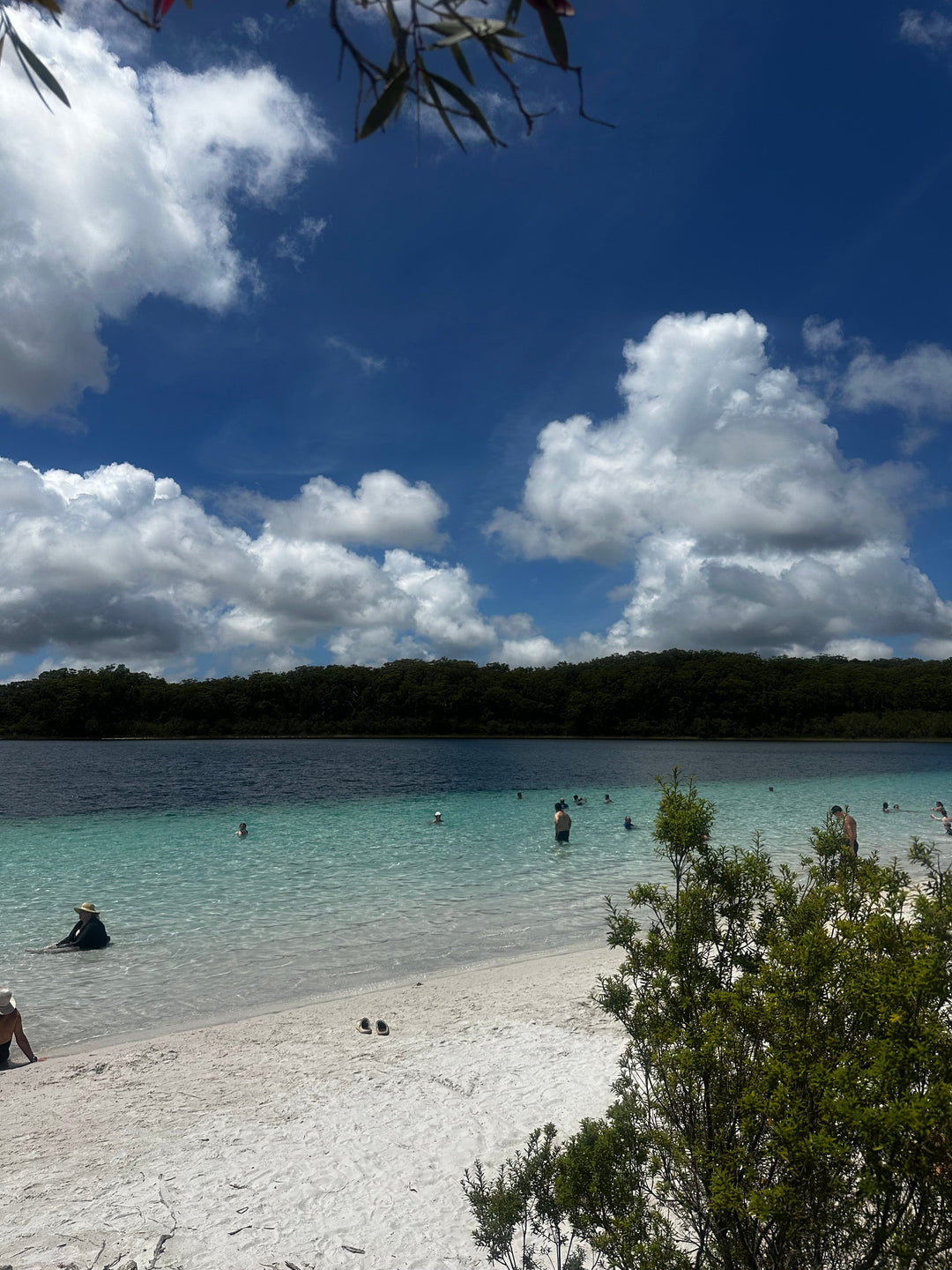 A Day Away Together: Our K'gari Team Trip