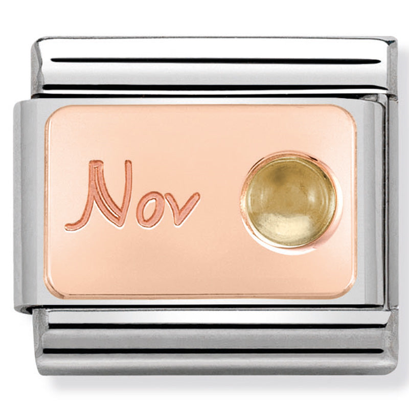 Nomination - Stainless Steel and 9ct Rose Gold Citrine (November)