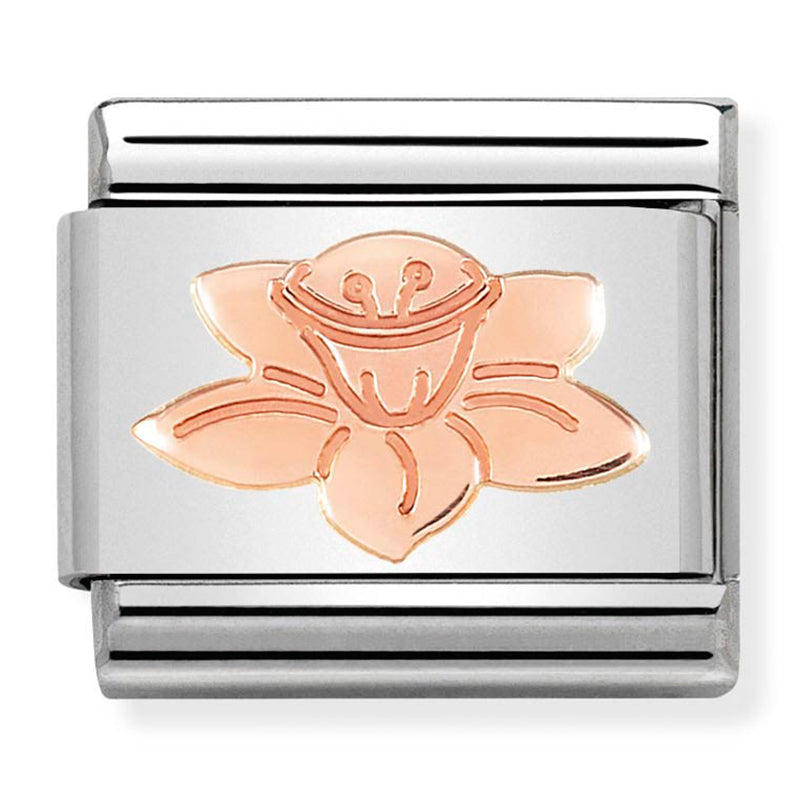 Nominaiton - classic symbols stainless steel & 9ct rose gold (daffodil)