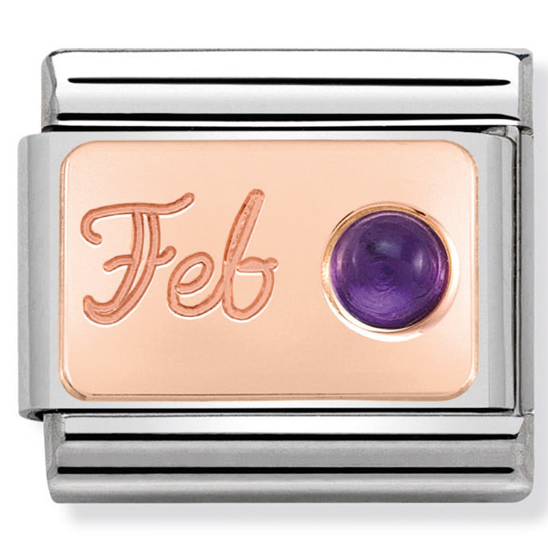 Nomination - Composable classic st/st, & 9ct rose gold (Feb Amethyst)